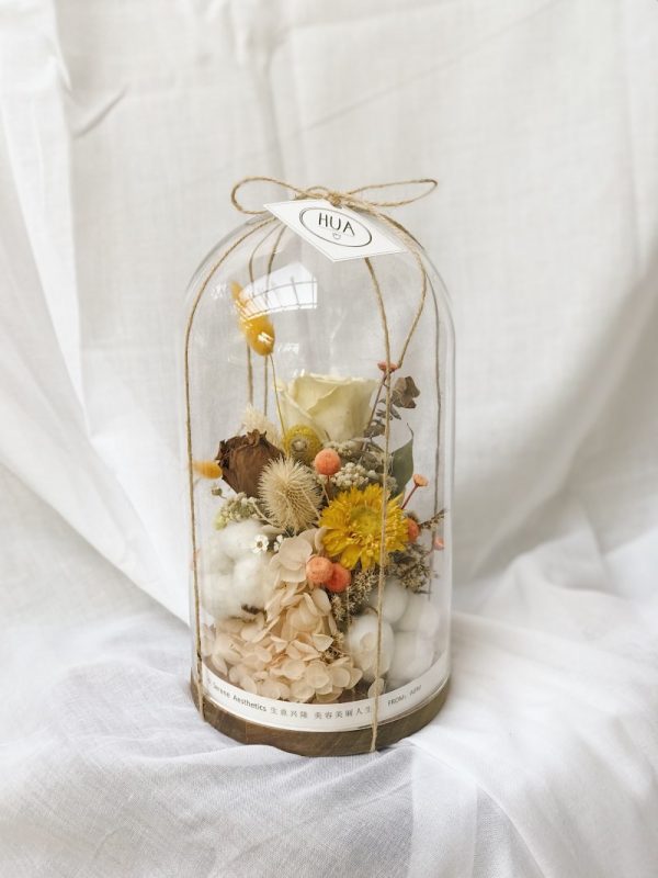 Dried & Preserved Flower