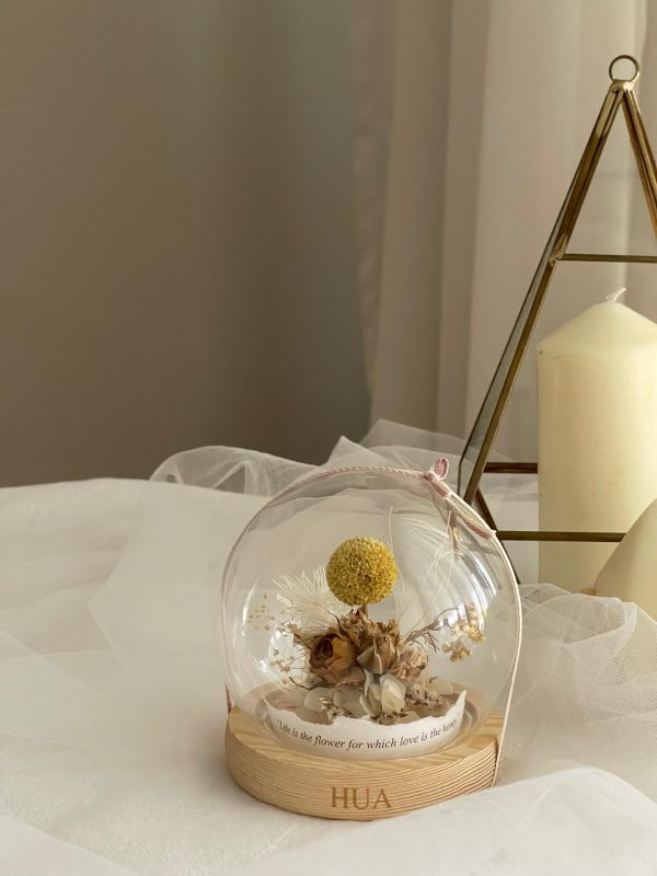 craspedia in the dome