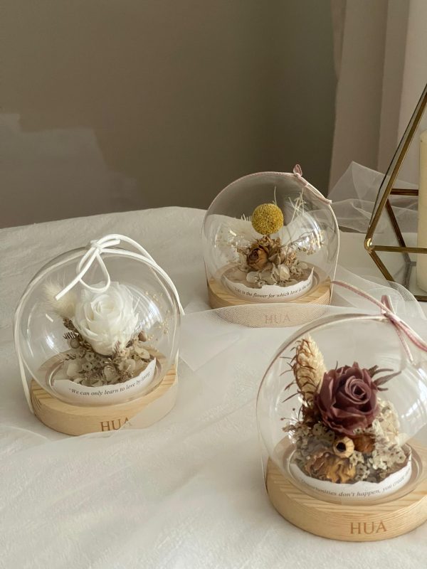 preserved and dried in the dome