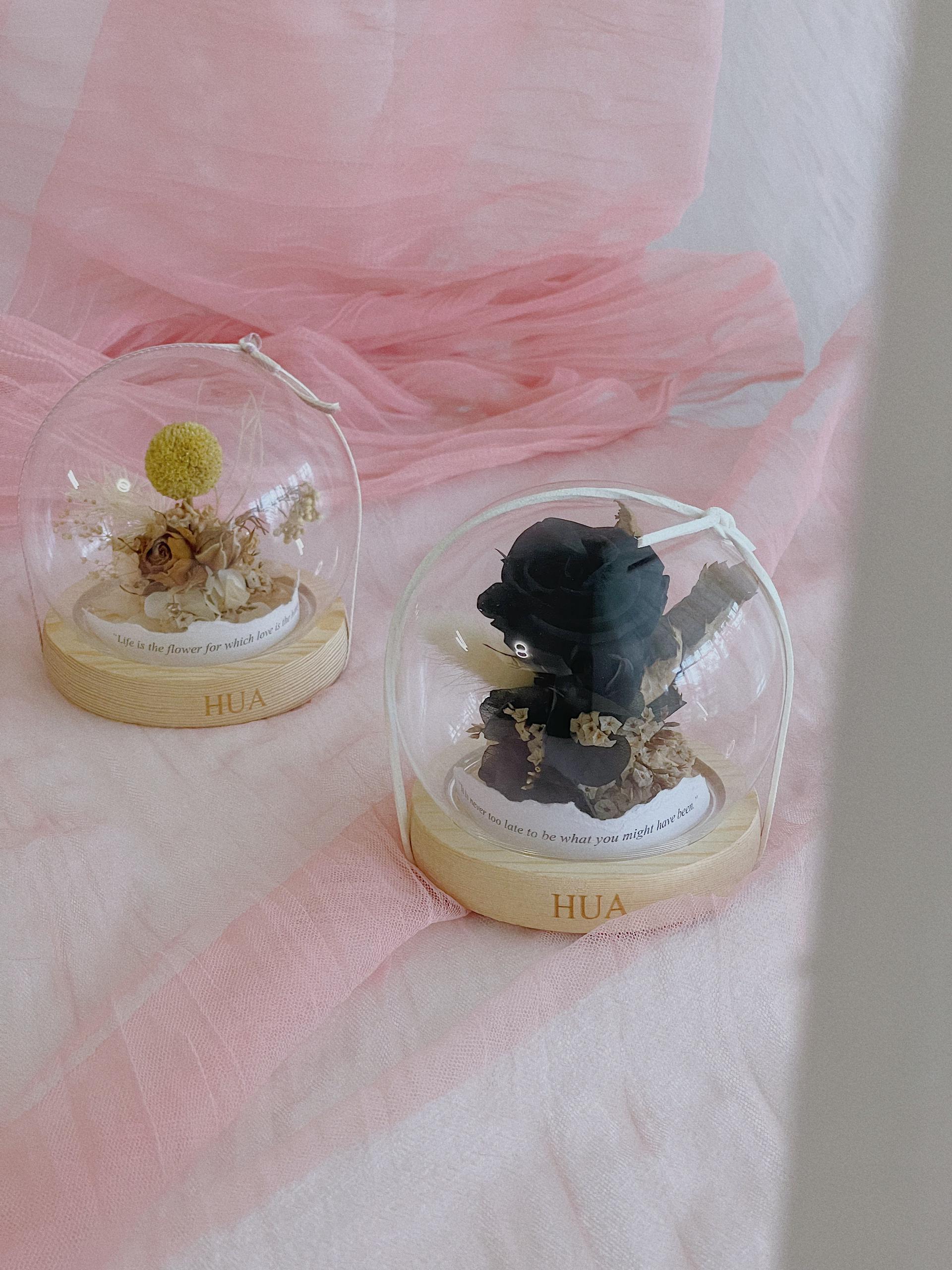 black preserved rose in small dome