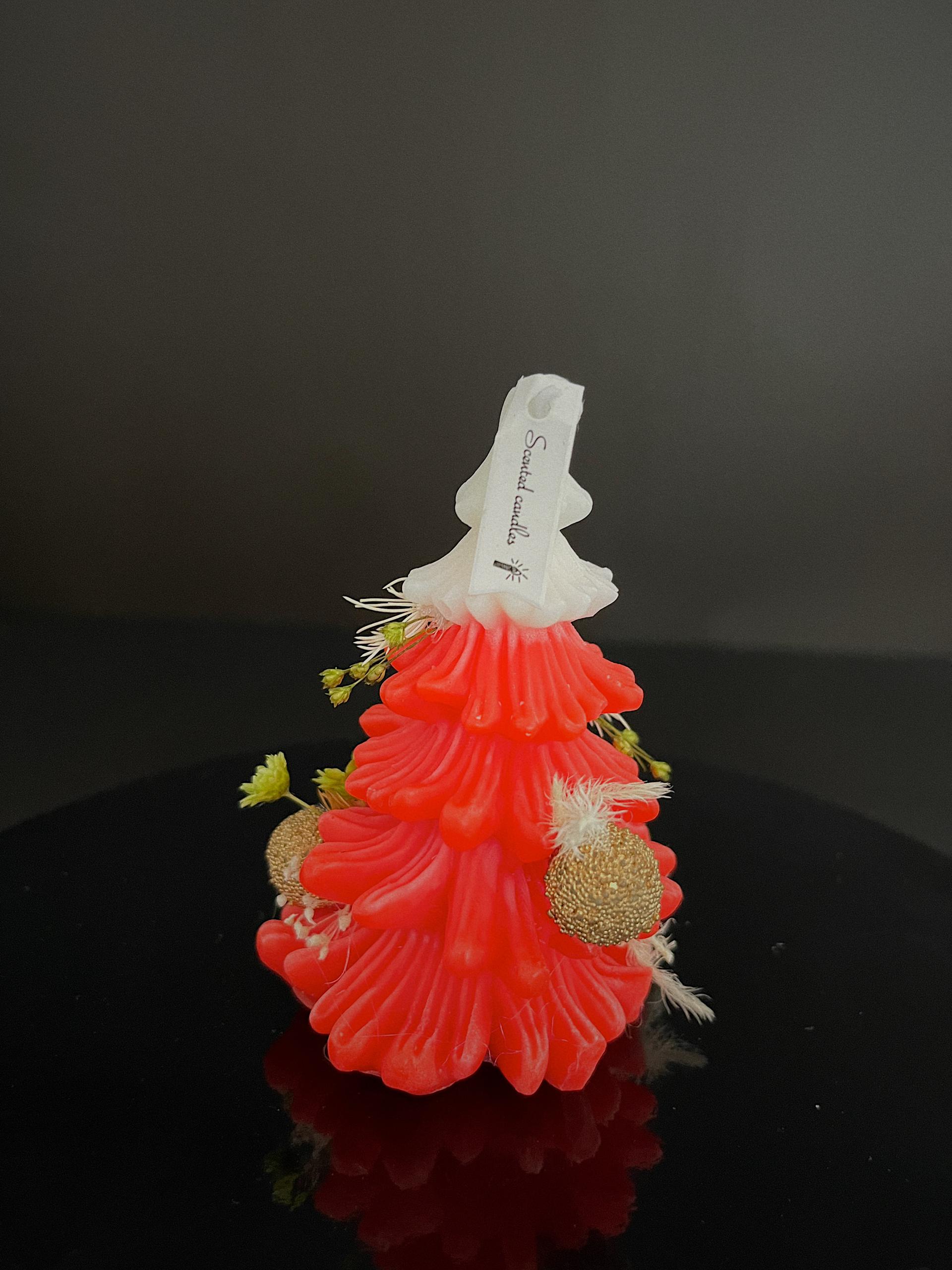 WhatsApp Image 2024-12-09 at 11.00.56 PM (1)