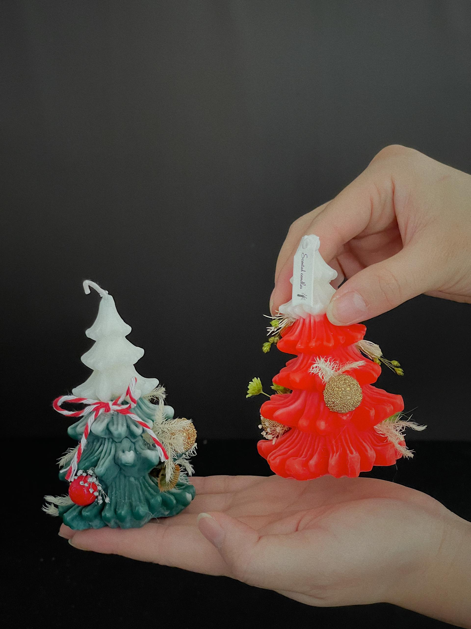 WhatsApp Image 2024-12-09 at 11.00.56 PM (2)