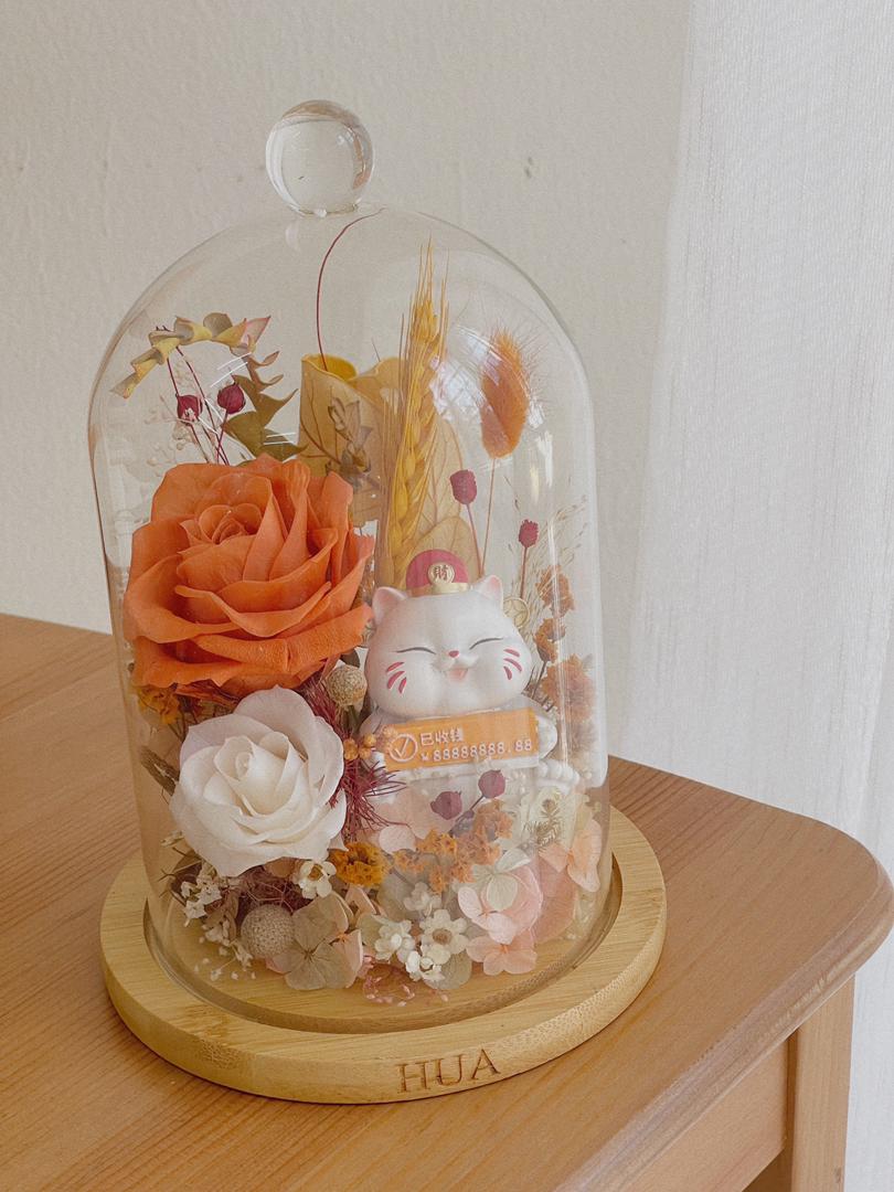 WhatsApp Image 2025-09-03 at 14.11.11_301b2d6d